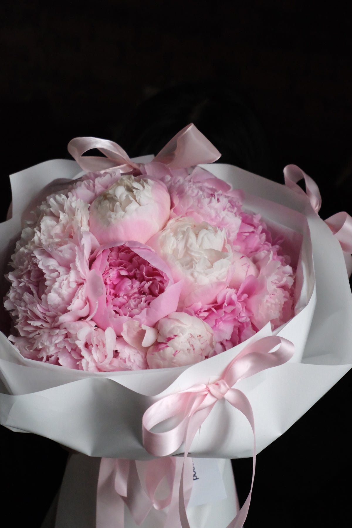 Classic Peonies