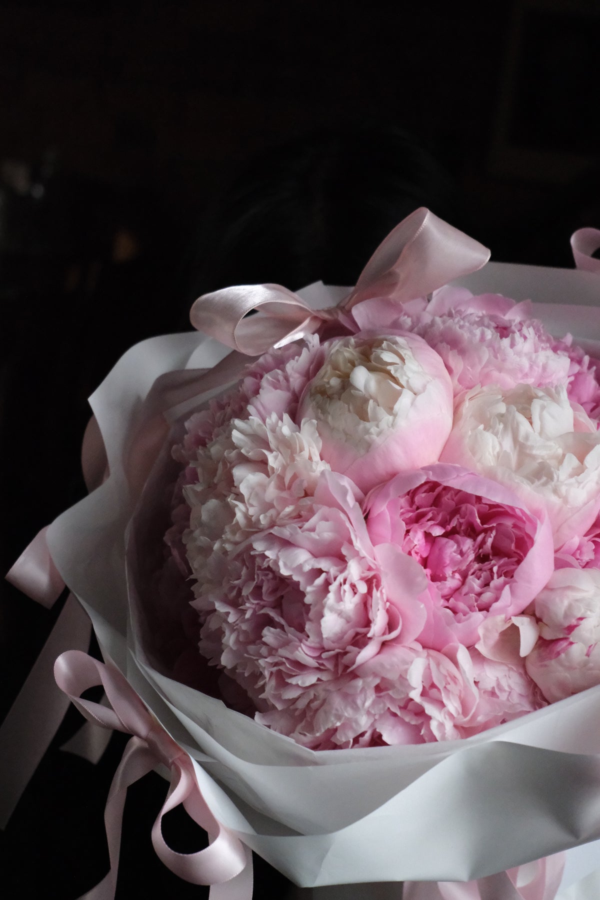 Classic Peonies