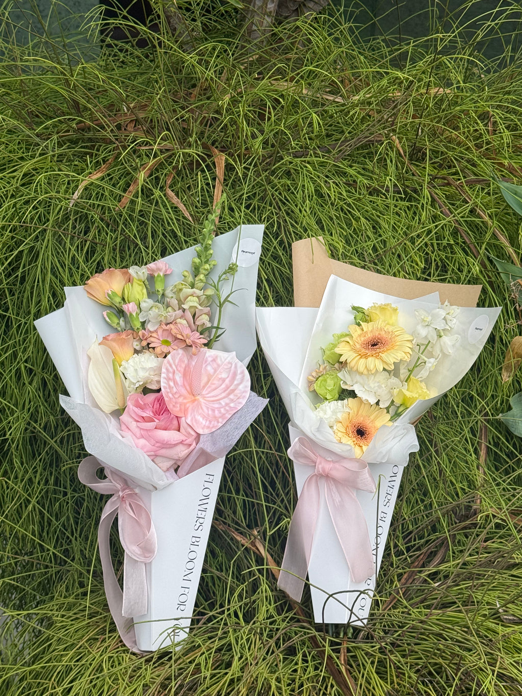 Petite Bloom